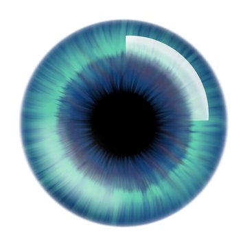 Closeup of an blue human eye