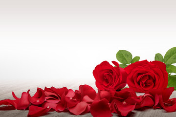 Red rose and rose petals on a wooden table with a white background