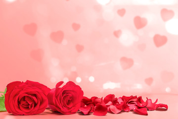 Red rose and rose petals on a pink background