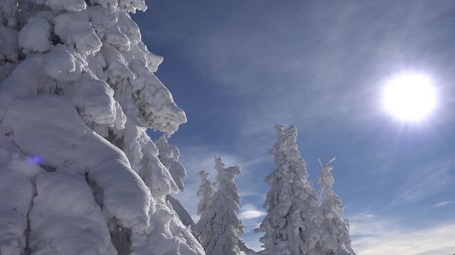 Winter Landscape. Snow Covered Mountains and Fir Trees,  Ski Resort, Christmas Snowing in Alpine, Alps View