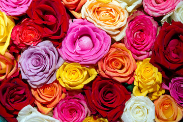 Schwimmende Rosenblüten in einer Schale