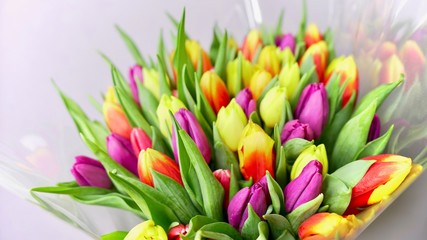 Colorful tulip flower bouqet close up.
