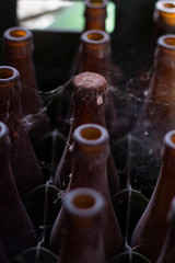 abandoned old bottles