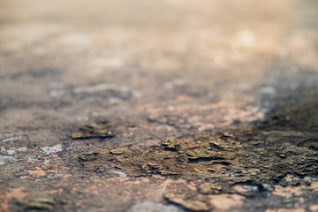 Rusty metal texture on old floor