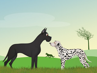 illustration of couple dogs sniff