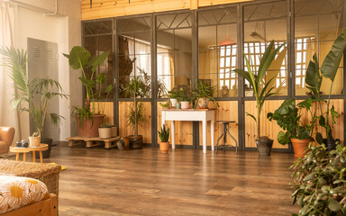Bright industrial room with glass and wooden wall and a greenhouse with green indoor plants.