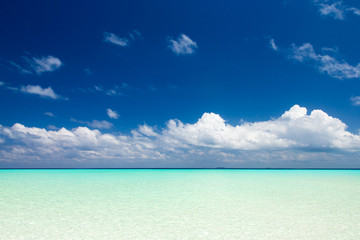 Tropical beach caribbean sea. Sea landscape