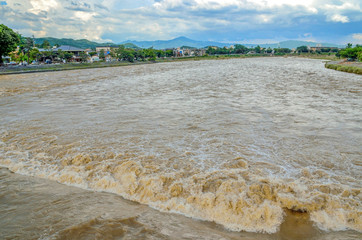 京都　増水した桂川
