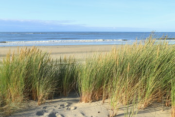 Strand und Nordsee bei Ouddorp