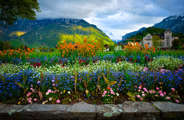 flowers from Interlaken