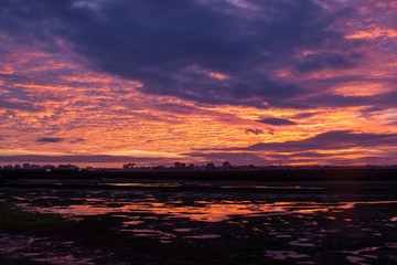 natural marshlands at sunset