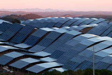 Field of solar panels