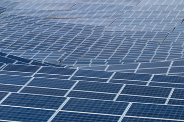 Field of solar panels