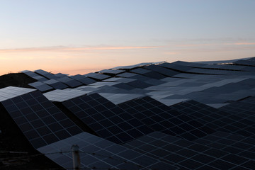 Field of solar panels