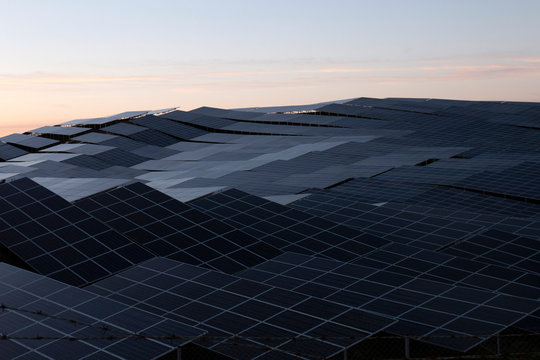 Field of solar panels