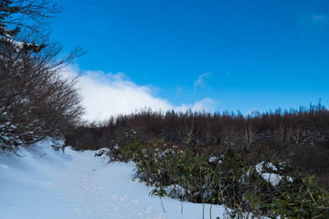 安達太良山白銀の登山道
