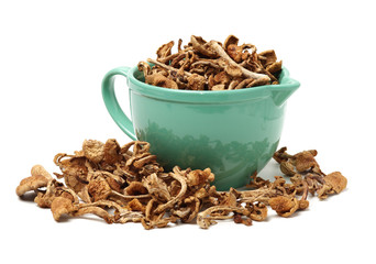 dried mushroom on white background