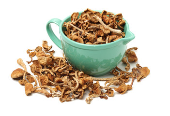 dried mushroom on white background
