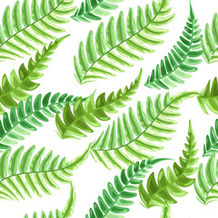 Fototapeta na wymiar Seamless pattern with fern leaves.
