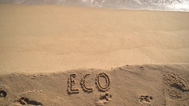ext eco on the sandy beach of the sea. Climat change problem. Recycle