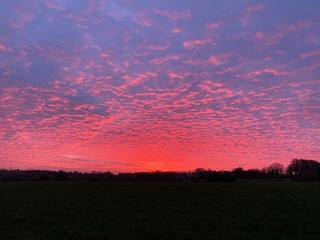 Fototapeta premium sunset over field