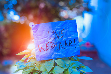 Text sign showing Live Webinar. Business photo showcasing presentation lecture or seminar...