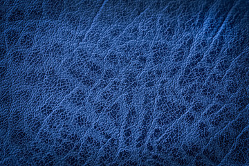 Texture of genuine leather close-up, surface close-up with wrinkles and cracks. Blue color, vintage design, trendy background. Copy space