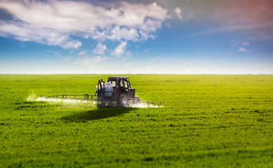 Fototapeta na wymiar A farmer is pesticide the crops by a tractor.