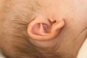 Closeup macro shot of the ear of a new-born baby