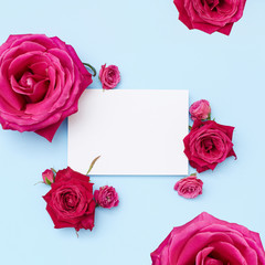 Square composition of pink roses around an empty postcard on blue background. Greeting mockup