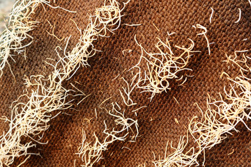 leopard skin texture