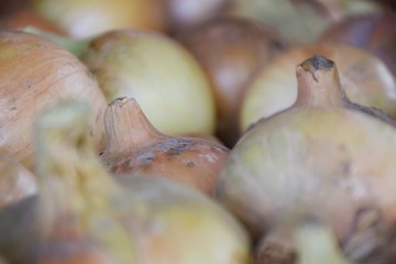Fresh onions. Onions background. Ripe onions. Onions in market