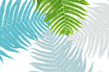 Fototapeta na wymiar Сolored tropical leaves on a white background. Creative artistic background. Concept art