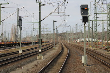 Track direction in the horizon with forest under a blue sky