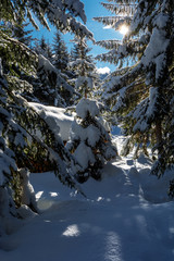 winter landschaft in den österreichischen alpen