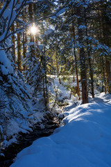 winter landschaft in den österreichischen alpen