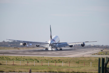 Fototapeta na wymiar Big plane landing at the airport.