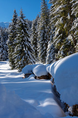 winter landschaft in den österreichischen alpen