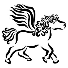 small winged horse with a curly mane black pattern