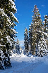 winter landschaft in den österreichischen alpen