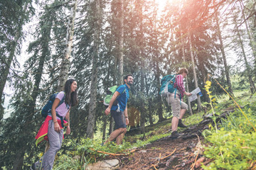 Gruppe von Wanderern, die in den Bergen wandern. 