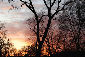 Sonnenuntergang Winter Himmel bewölkt