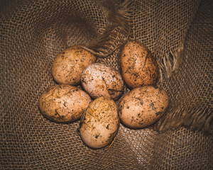 dirty chicken eggs lie in burlap cloth © Ambartsumian