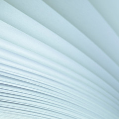 Obraz premium Blurred. A light background from the white pages of a white open book