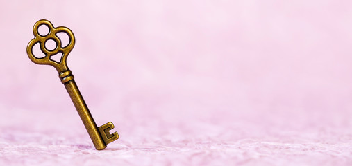 Web banner of a rustic solution key on pink background, copy space