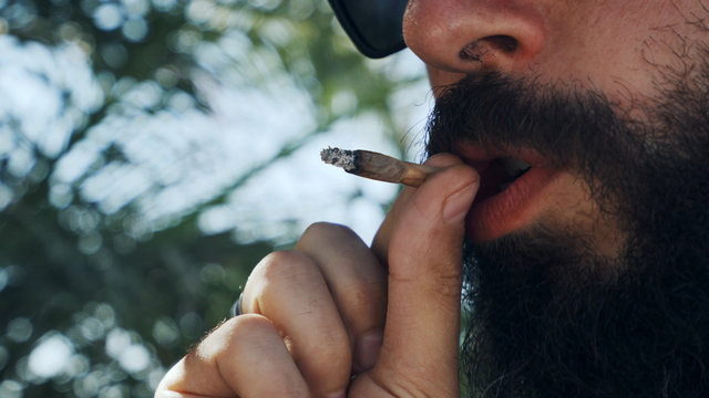 Close up bearded man in sunglasses smoking weed on a background of palm leaves