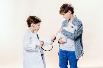 little boys are playing vet with a rabbit. animal love veterinary concept