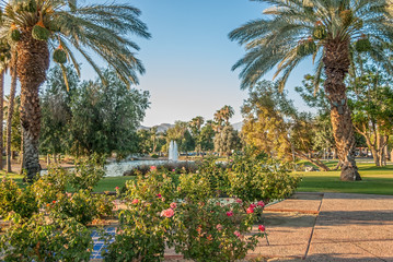 Palm Desert Park