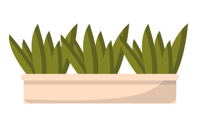 Coffeehouse green plant sign in wooden pot on white. Creative idea with leaves natural decor symbol for restaurant or cafe. Exterior or interior floral element for cafeteria decoration vector