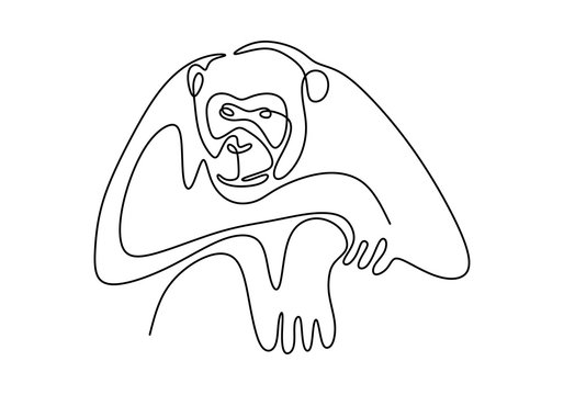 One Line Monkey Drawing. Vector Animal Chimpanzee.
